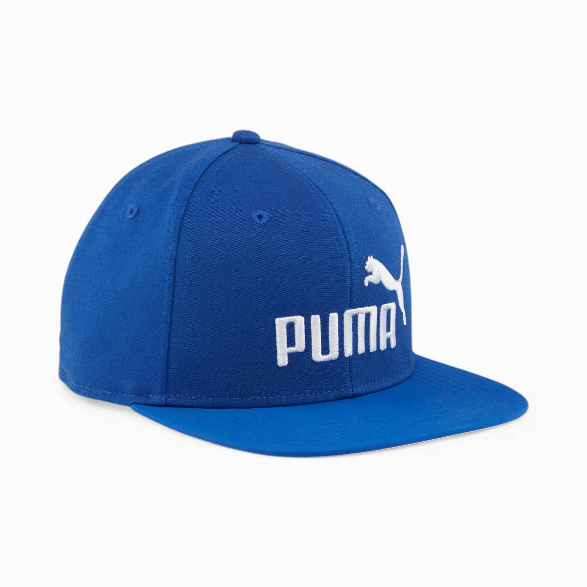 Snapback Puma Essentials Flat Brim 02511602