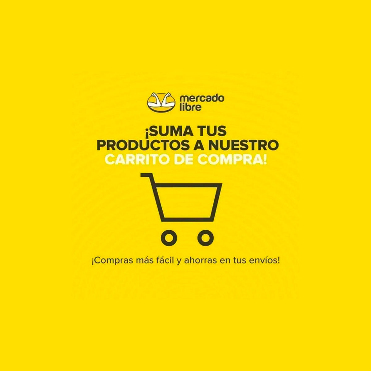 Jockey Puma Bmw M Motorsport Statement