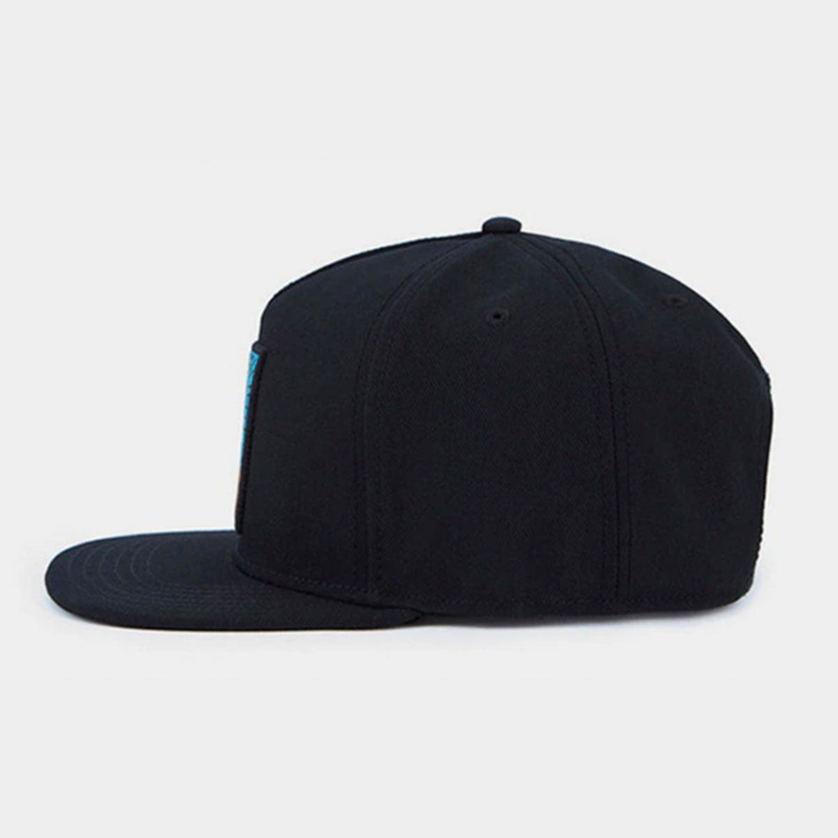 Snapback - Tupac Hip Hop Comic