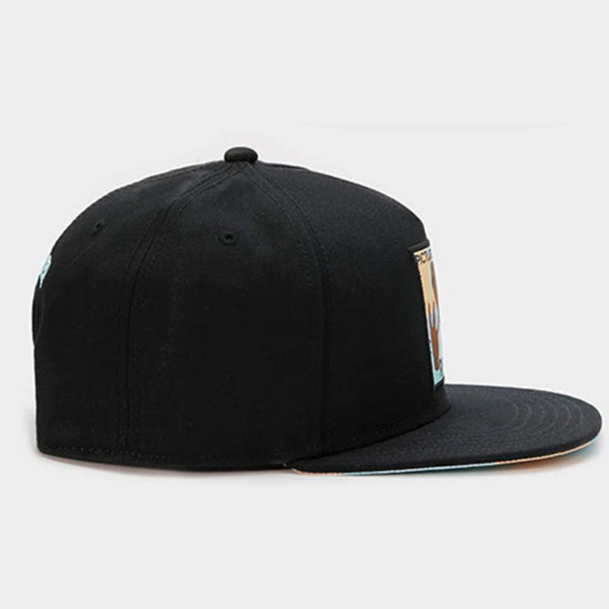 Snapback - Tupac Rollin Hip Hop